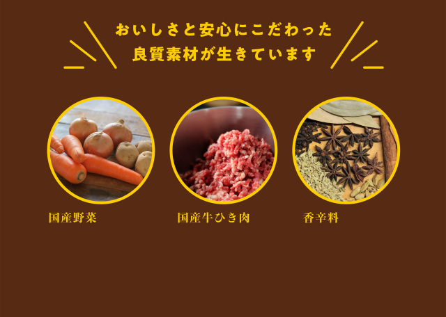 ギフトカレー7