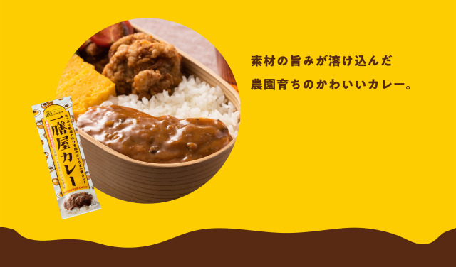 ギフトカレー8