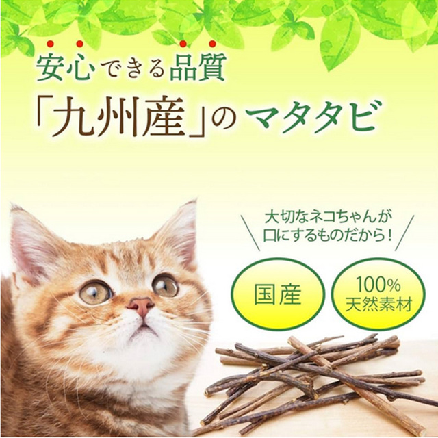 マタタビ枝２