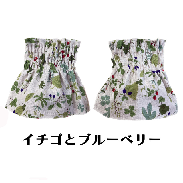 イチゴとブルーベリー