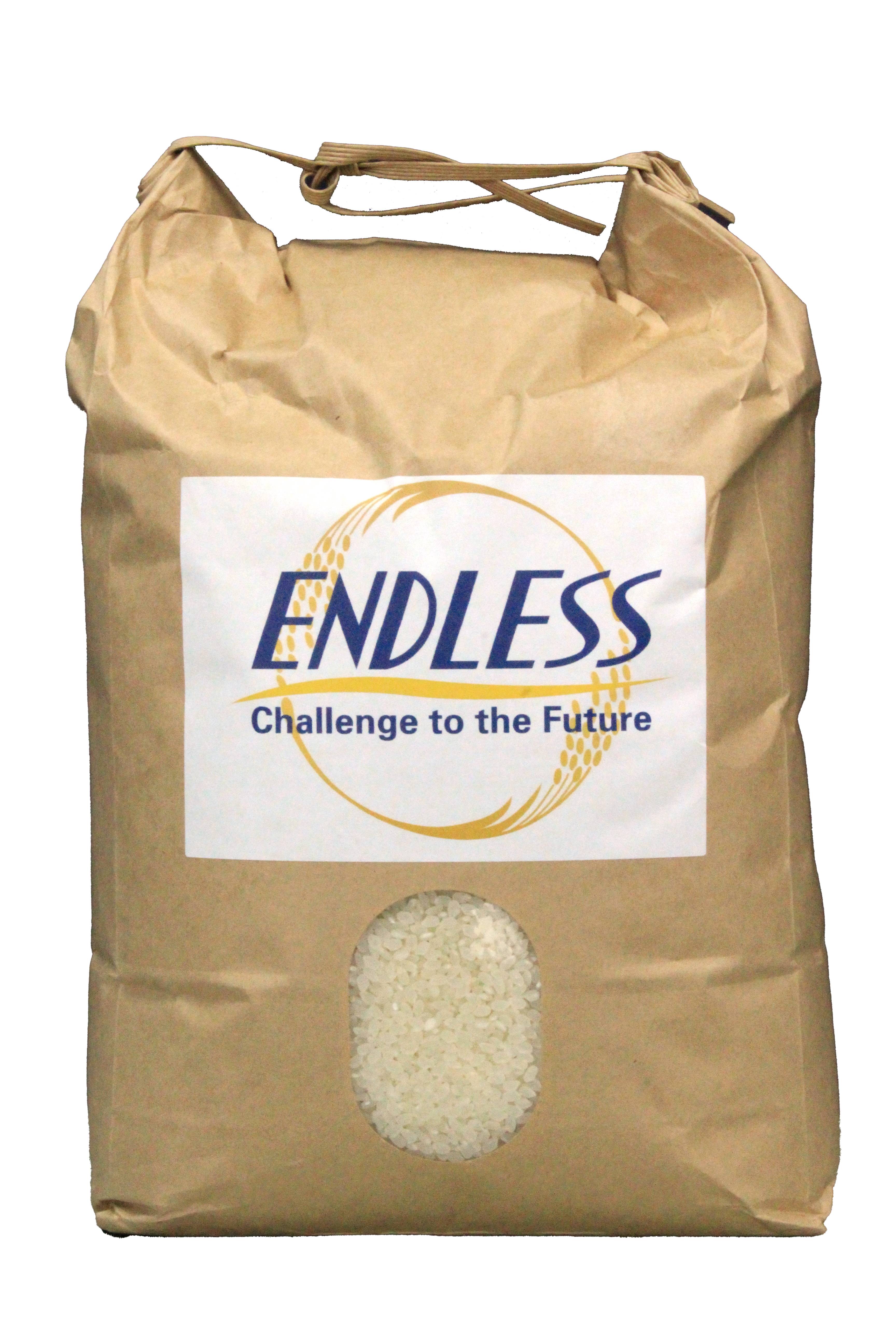 2024年10月北海道 で収穫した 松の実5kg 2024年10月北海道 で収穫した 松の実5kg 2024年10月