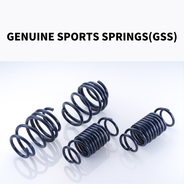 GENUINE SPORTS SPRINGS(GSS)