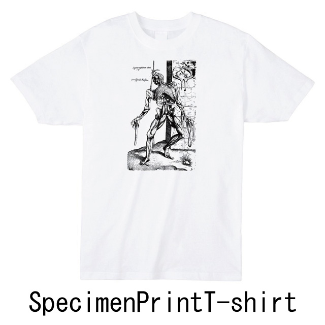 標本プリントtシャツ　オリジナル