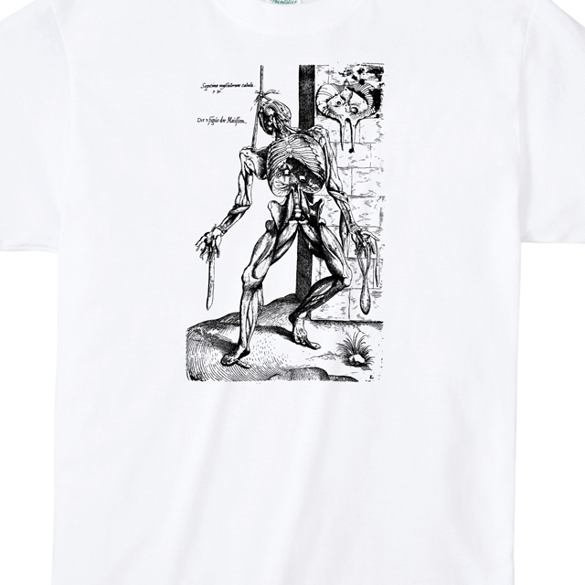 標本プリントtシャツ　オリジナル