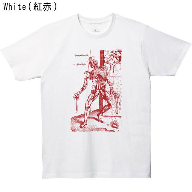 標本プリントtシャツ