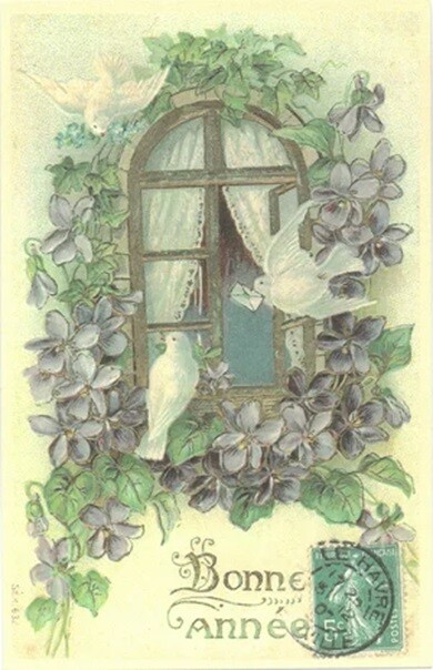 ラ・メゾンド・ヴィオレット　すみれ　ポストカード