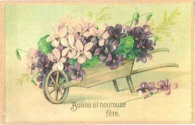 ラ・メゾンド・ヴィオレット　すみれ　ポストカード