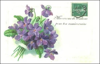 ラ・メゾンド・ヴィオレット　すみれ　ポストカード