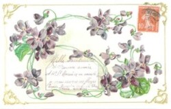 ラ・メゾンド・ヴィオレット　すみれ　ポストカード