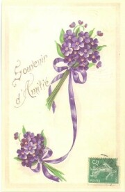 ラ・メゾンド・ヴィオレット　すみれ　ポストカード