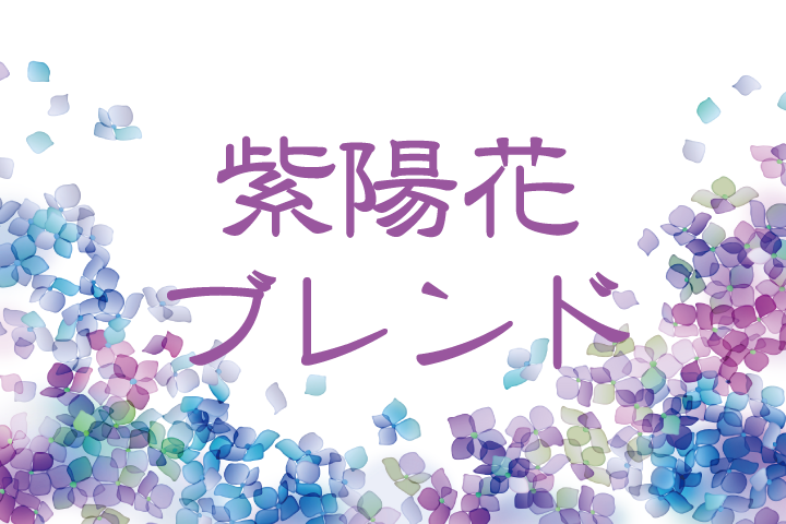 紫陽花
