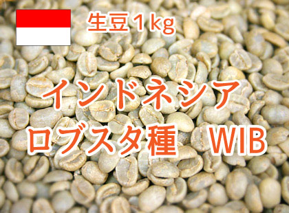 コーヒー生豆 │コーヒー通販 今日は珈琲 共和コーヒー店