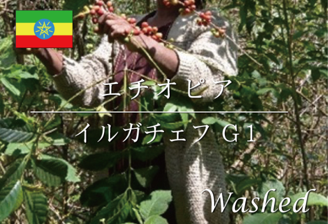 エチオピア　イルガチェフ