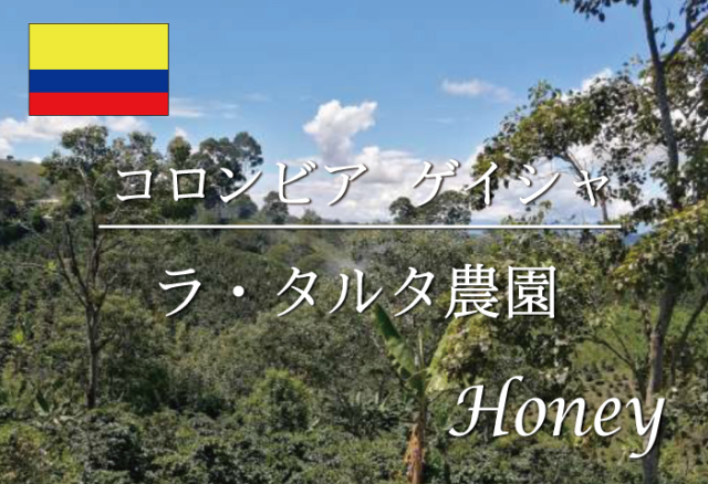 コロンビア ゲイシャ ラ タルタ農園 ハニー製法 コーヒー通販 今日は珈琲 コーヒーのある暮らし