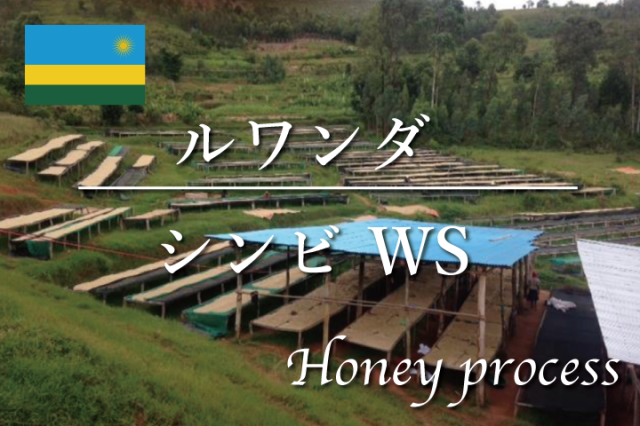 ルワンダ シンビWS ハニープロセス / コーヒー豆