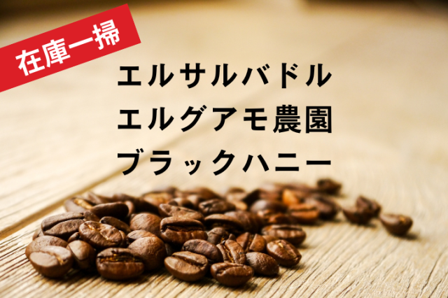 (★在庫一掃★) エルサルバドル　エル グアモ ブラックハニー　/　コーヒー豆