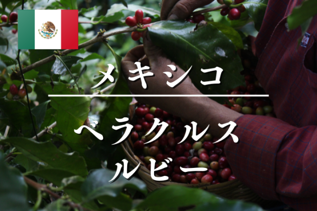 メキシコ　ベラクルス　ルビー　/　コーヒー豆