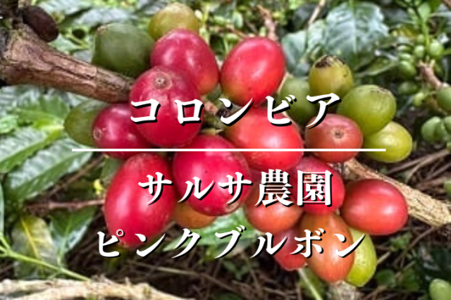 コロンビア　サルサ農園　ピンクブルボン /　コーヒー豆