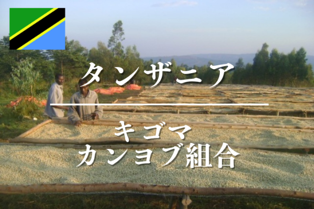タンザニア キゴマ カンヨブ組合 ウォッシュ AA｜コーヒー豆