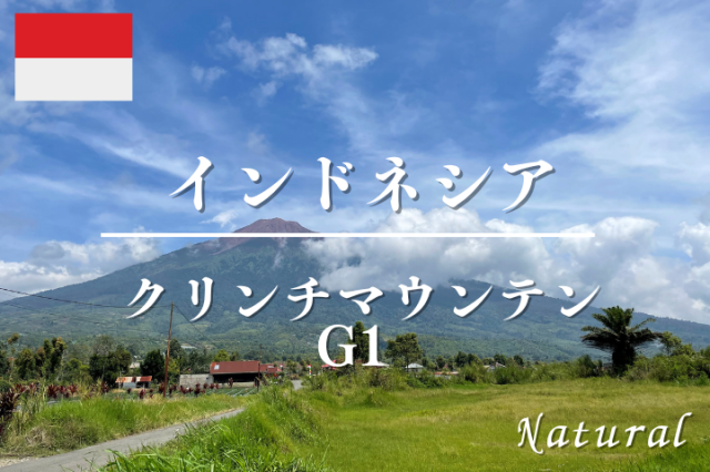 インドネシア クリンチマウンテン  (ナチュラル G1)  /コーヒー豆
