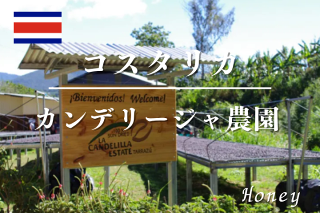 コスタリカ カンデリージャ農園 ハニー /コーヒー豆