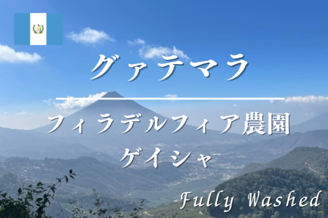 グァテマラ　フィラデルフィア農園 ゲイシャ  /コーヒー豆