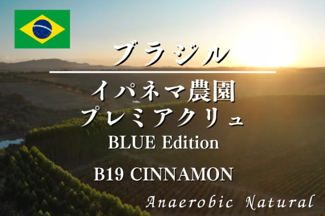 ブラジル　イパネマ農園プレミアクリュ　BLUE Edition B19 【CINNAMON】  / コーヒー豆