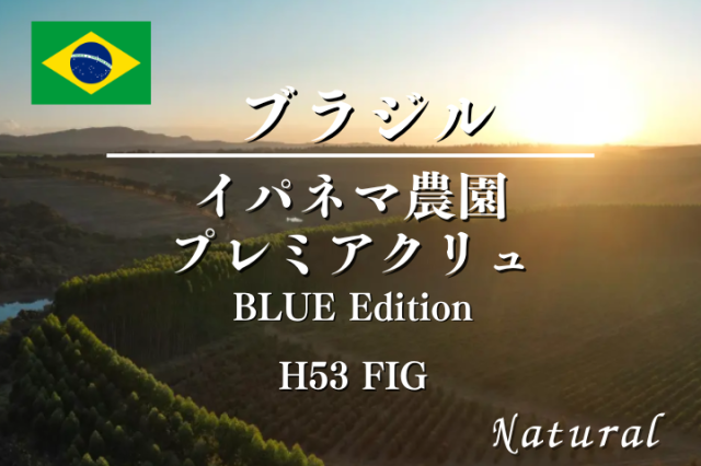 ブラジル　イパネマ農園プレミアクリュ　BLUE Edition H53 【FIG】  / コーヒー豆