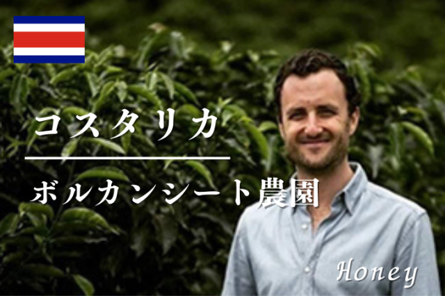 コスタリカ　ボルカンシート農園 ハニー /コーヒー豆