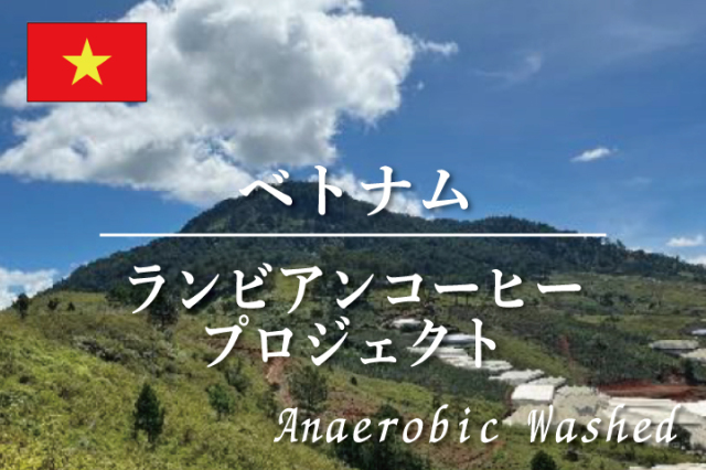 ベトナム　ランビアンコーヒープロジェクト　アナエロビックウォッシュ｜コーヒー豆