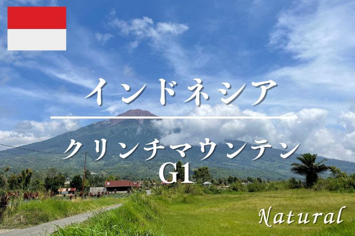 (★5%OFF★) インドネシア クリンチマウンテン  (ナチュラル G1)  /コーヒー豆