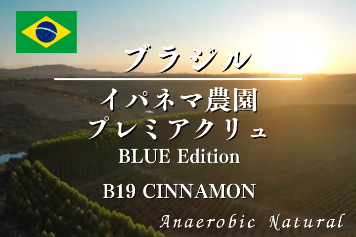 ブラジル　イパネマ農園プレミアクリュ　BLUE Edition B19 【CINNAMON】  / コーヒー豆