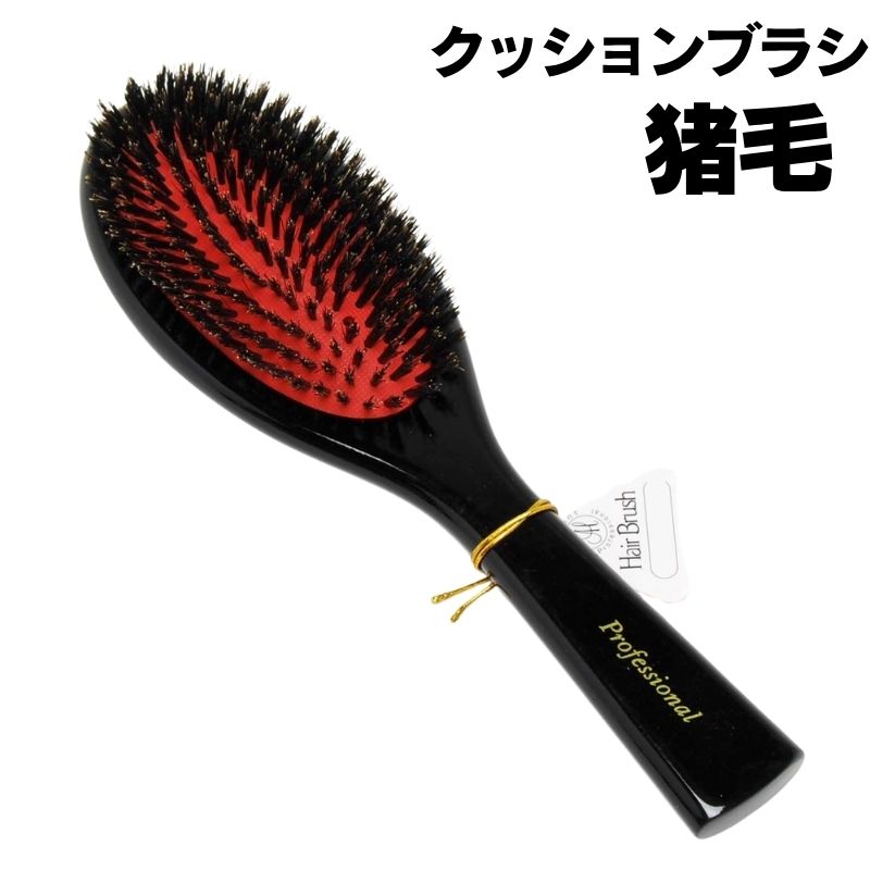 猪毛 BG クッションブラシ （M・L） 大阪ブラシ 美容師 プロ用 ヘアサロン 美容室 理容室