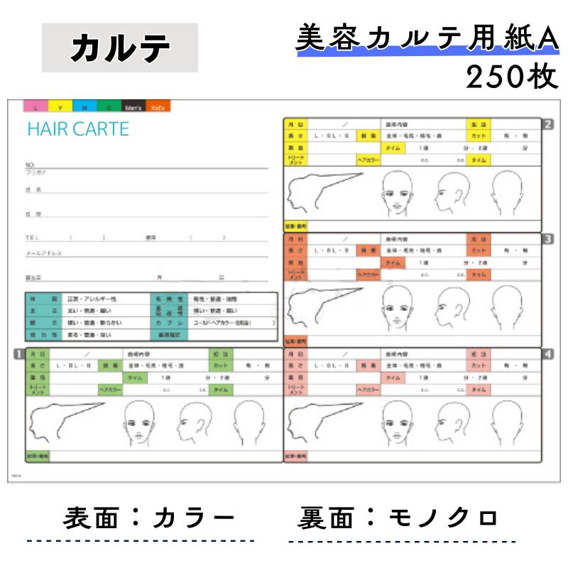 美容カルテ用紙A ヘアカルテ 250枚セット 厚紙タイプ 157mm×227mm キャスト HAIR CARTE 顧客管理 顧客情報