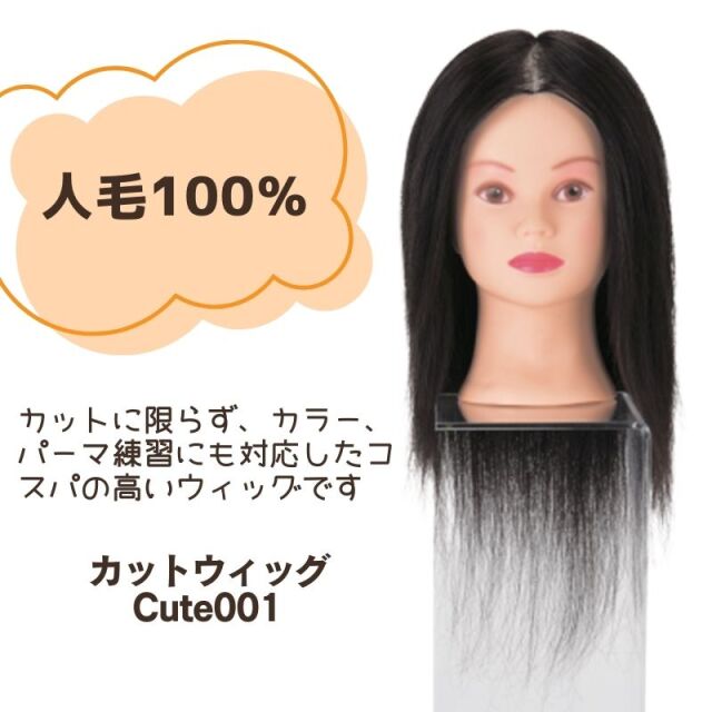 値下げ【送料込】美容師 国家試験の練習に使用 点か カットウィッグ(カット 