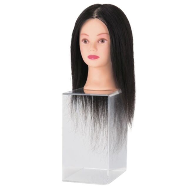 美容師国家試験 カットウィッグ 持ち替える 【バラ売り可】 