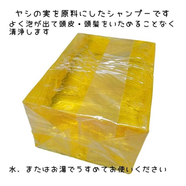 滝川 フィッシャー レモンシャンプー 1.8kg ｜ ヤシの実を原料にした