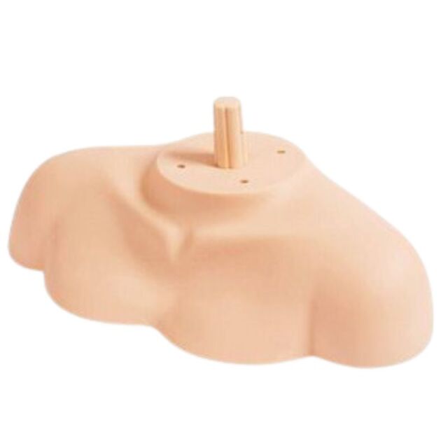 NBAA ウィッグショルダー ヘアショー、コンテスト、撮影、展示用に N.B.A.A. マネキン用 肩 NB-WS1