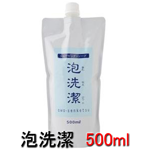 泡洗潔 シェービングソープ 500ml