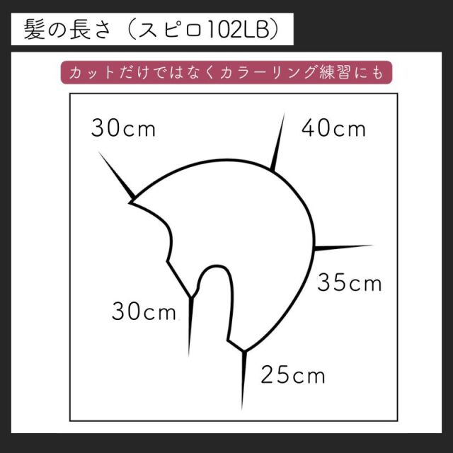 滝川 カットウィッグ スピロ 102 ライトブラウン 人毛100％ SPILO102LB