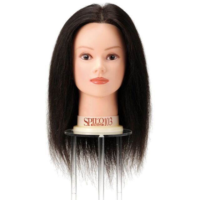 理・美容師、美容学生が使うカットウィッグ・セットアップウィッグ、理