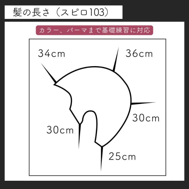 美容師 練習用 ウィッグ SPILO103 27体 美容師 練習用 ウィッグ