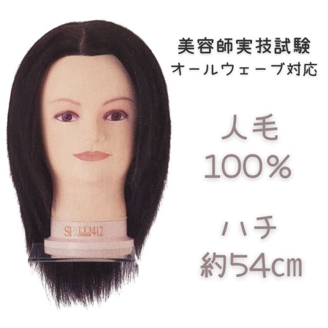 サロン技術者の国家試験やスキルアップにおすすめの人毛の高品質