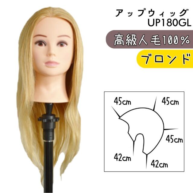 アップスタイル＆ヘアアレンジ練習 アップウィッグ 美容師 高級人毛100％ 金髪 ブロンド UP180GL マネキンヘッド ヘアマネキン