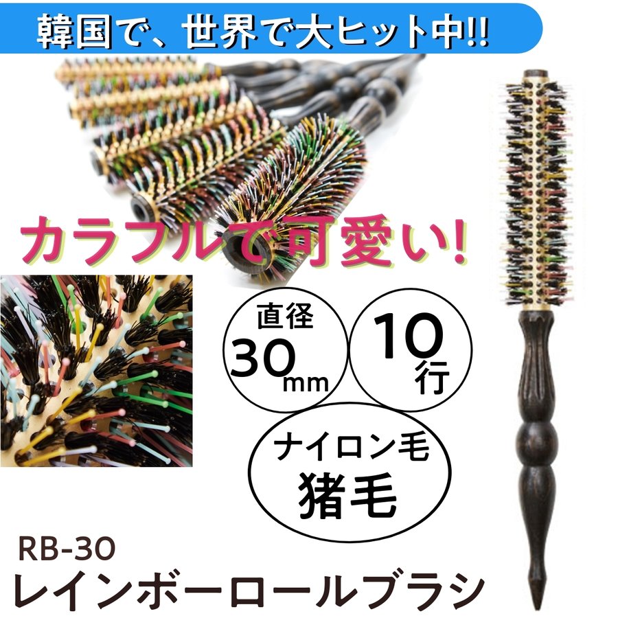 NBAA レインボーロールブラシ 猪毛＆ナイロン毛 10行 N.B.A.A. RB-30