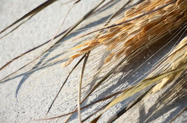 山から福がおりてくる しめ飾り 宝珠稲穂三段（ほうじゅいなほさんだん）