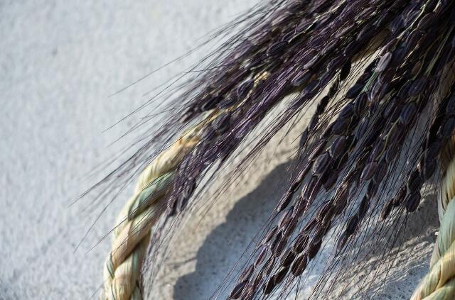 山から福がおりてくる しめ飾り 無限瓢箪から駒（紫）（むげんひょうたんからこま むらさき）