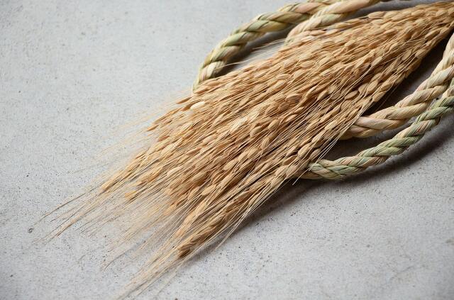 工房ストロー 宝珠赤米白穂