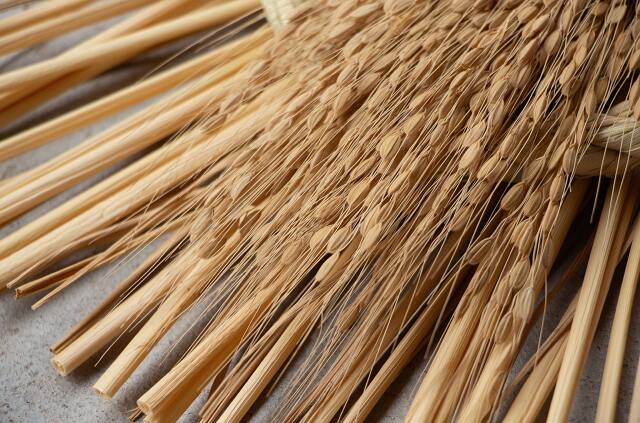 工房ストロー　末広輪三連