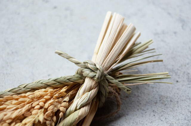 山から福がおりてくる しめ飾り 末広出芽繁栄